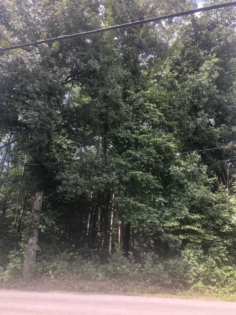 0 Watson Tc, Madisonville, TN 37354