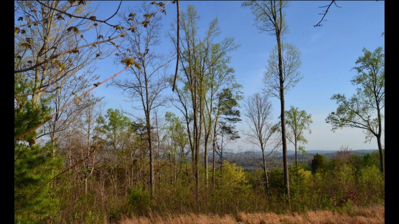 0 Waverly Cir, Corryton, TN 37721