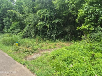 0 Waynewood Dr, Knoxville, TN 37912