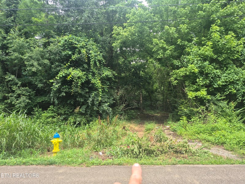 0 Waynewood Dr, Knoxville, TN 37912