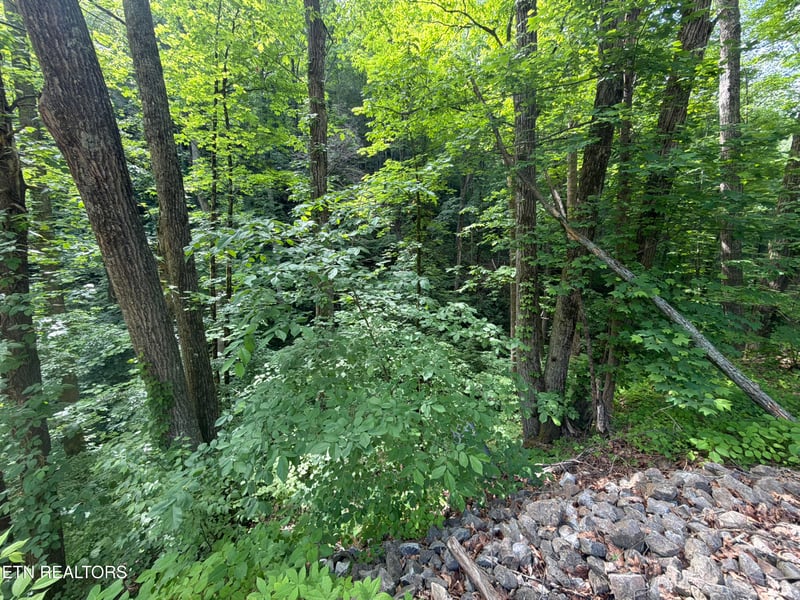 0 Wears Valley Rd, Townsend, TN 37882