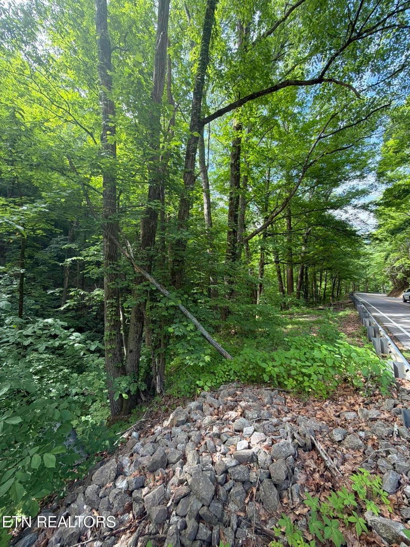 0 Wears Valley Rd, Townsend, TN 37882