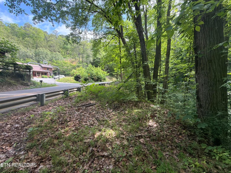 0 Wears Valley Rd, Townsend, TN 37882