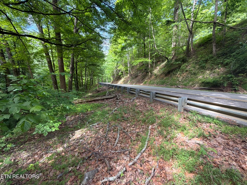 0 Wears Valley Rd, Townsend, TN 37882