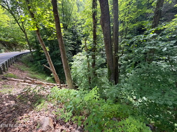 0 Wears Valley Rd, Townsend, TN 37882