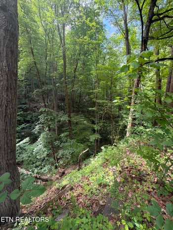 0 Wears Valley Rd, Townsend, TN 37882