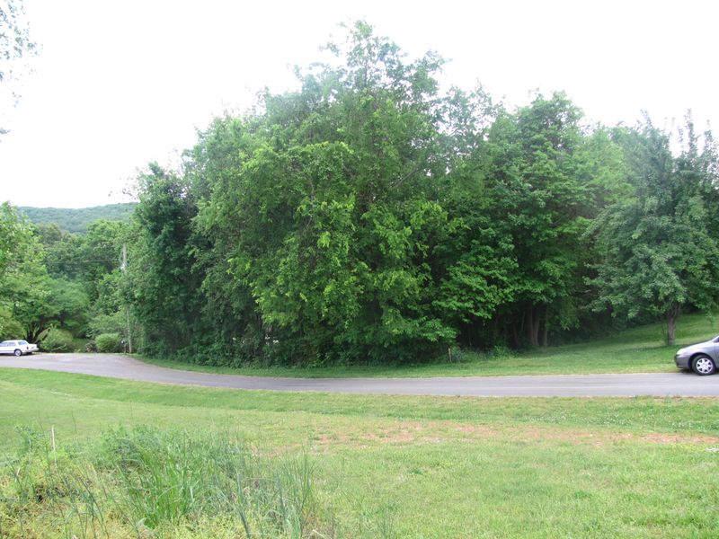 0 Webb Cir, Lenoir City, TN 37771