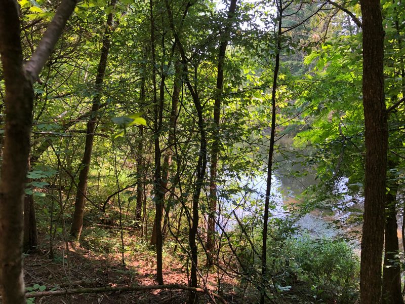 0 Welch Rd, Tellico Plains, TN 37385