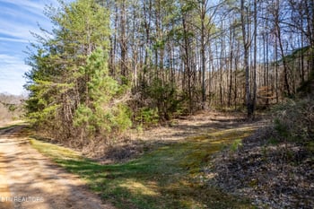0 Welch Road Lot 4a, Tellico Plains, TN 37385