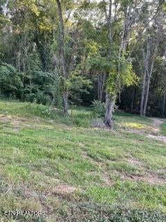 0 Wells Rd, Powell, TN 37849