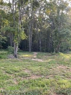 0 Wells Rd, Powell, TN 37849