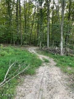 0 Wells Rd, Powell, TN 37849
