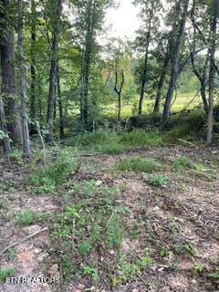 0 Wells Rd, Powell, TN 37849