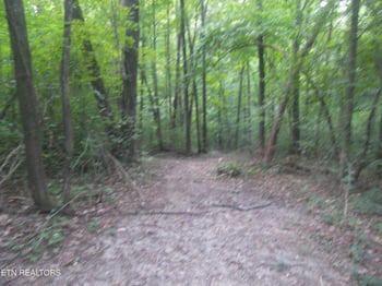 0 Wells Rd, Powell, TN 37849