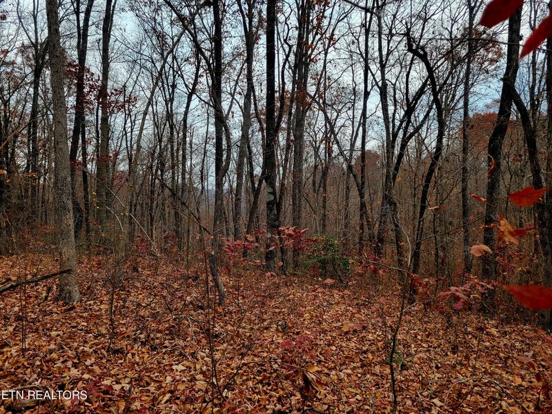 0 West Pl, Monterey, TN 38574