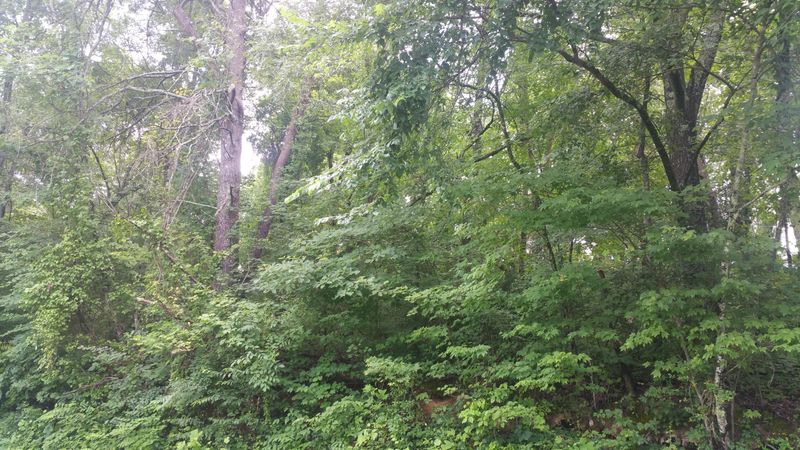 0 Westbury, Clinton, TN 37716