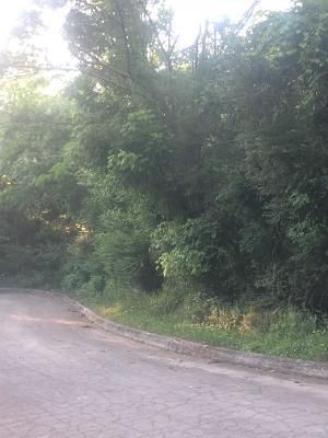 0 Westshore Ln #1, Loudon, TN 37774