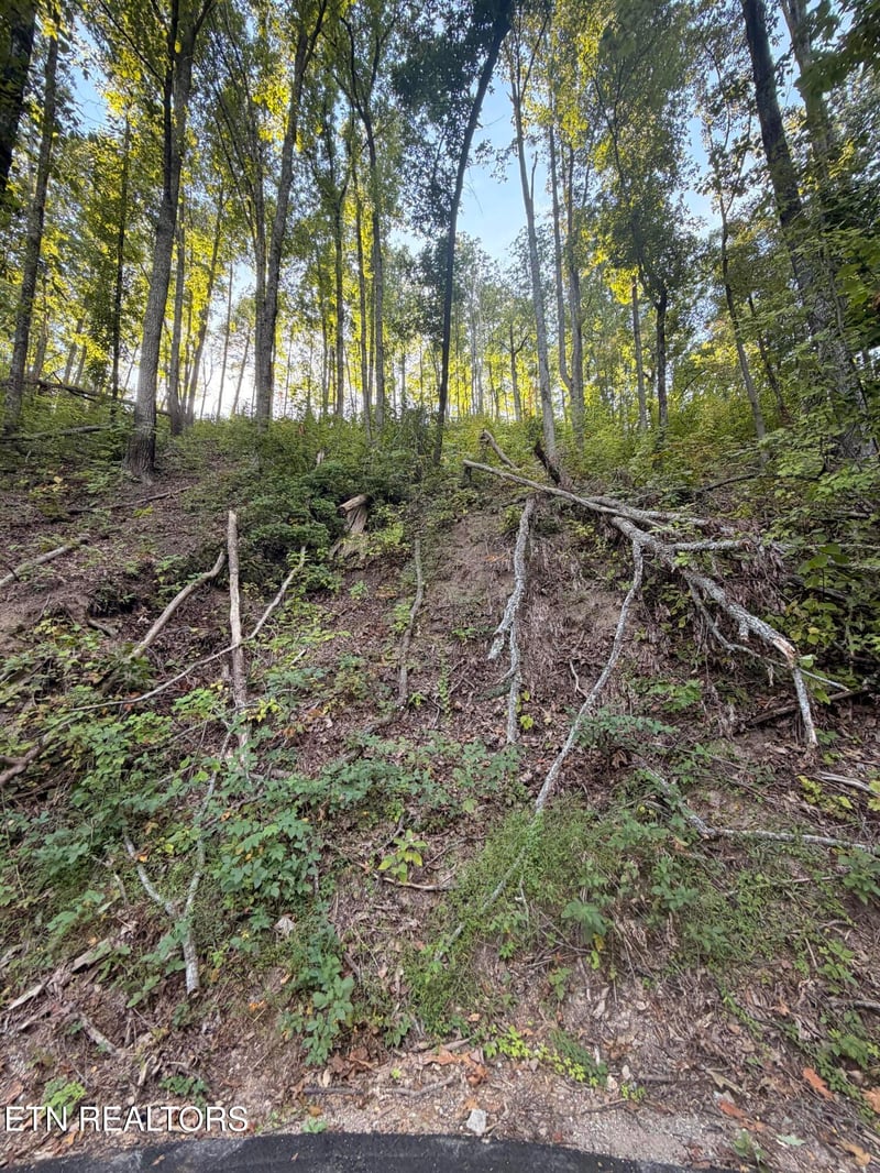 0 Whipoorwill Hill Way #28, Sevierville, TN 37862