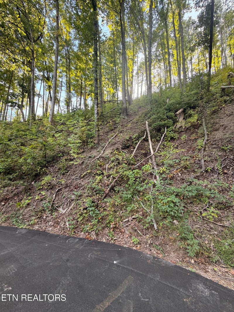 0 Whipoorwill Hill Way #28, Sevierville, TN 37862