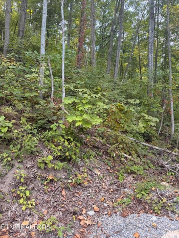 0 Whipoorwill Hill Way #28, Sevierville, TN 37862