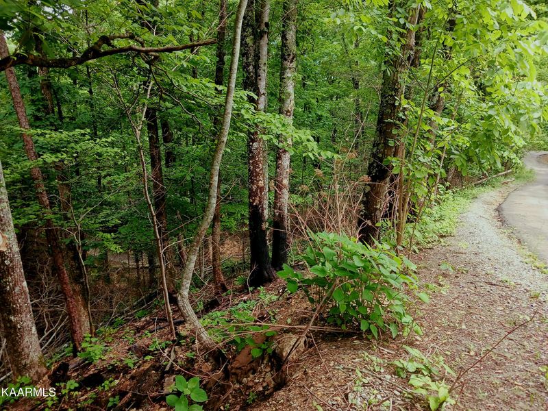 0 Whipoorwill Hill Way, Sevierville, TN 37862