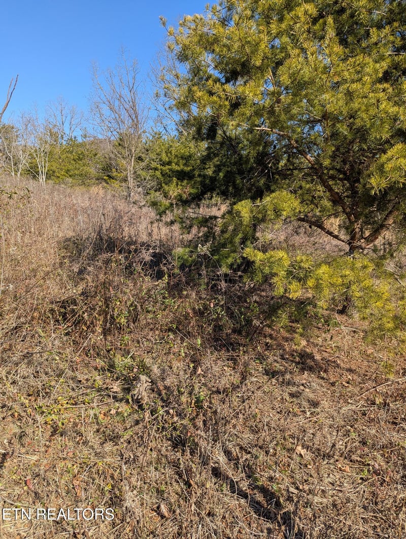 0 Whispering Ct, Bean Station, TN 37708
