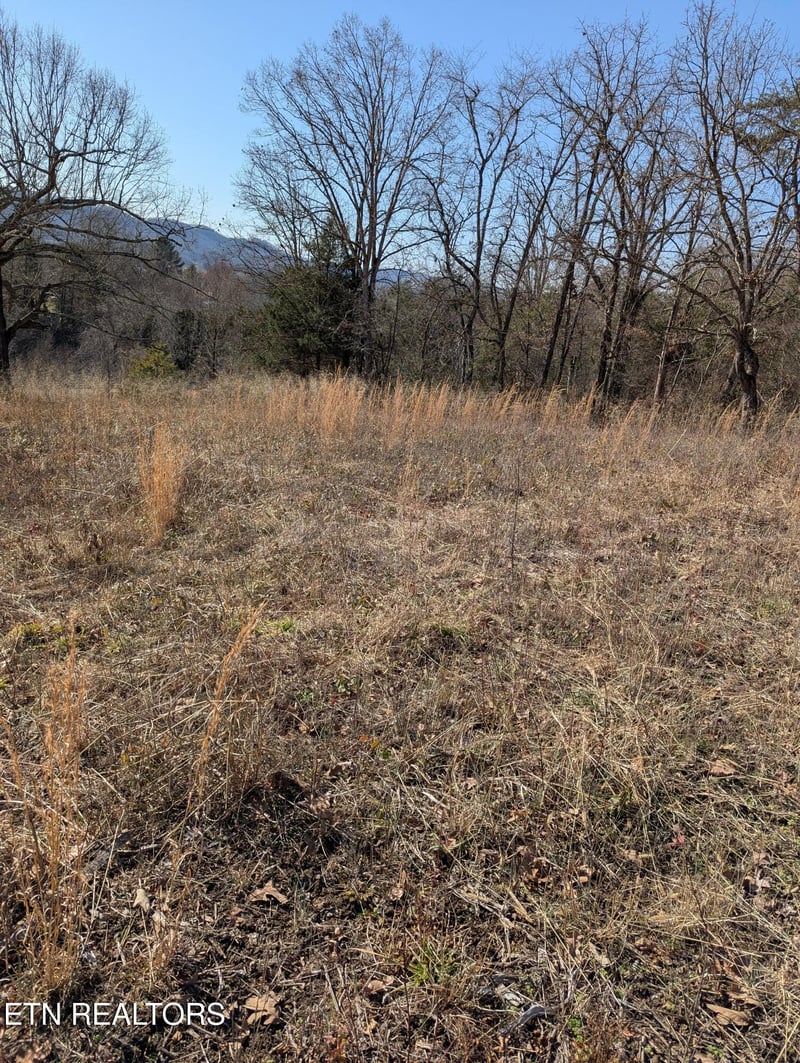 0 Whispering Ct, Bean Station, TN 37708