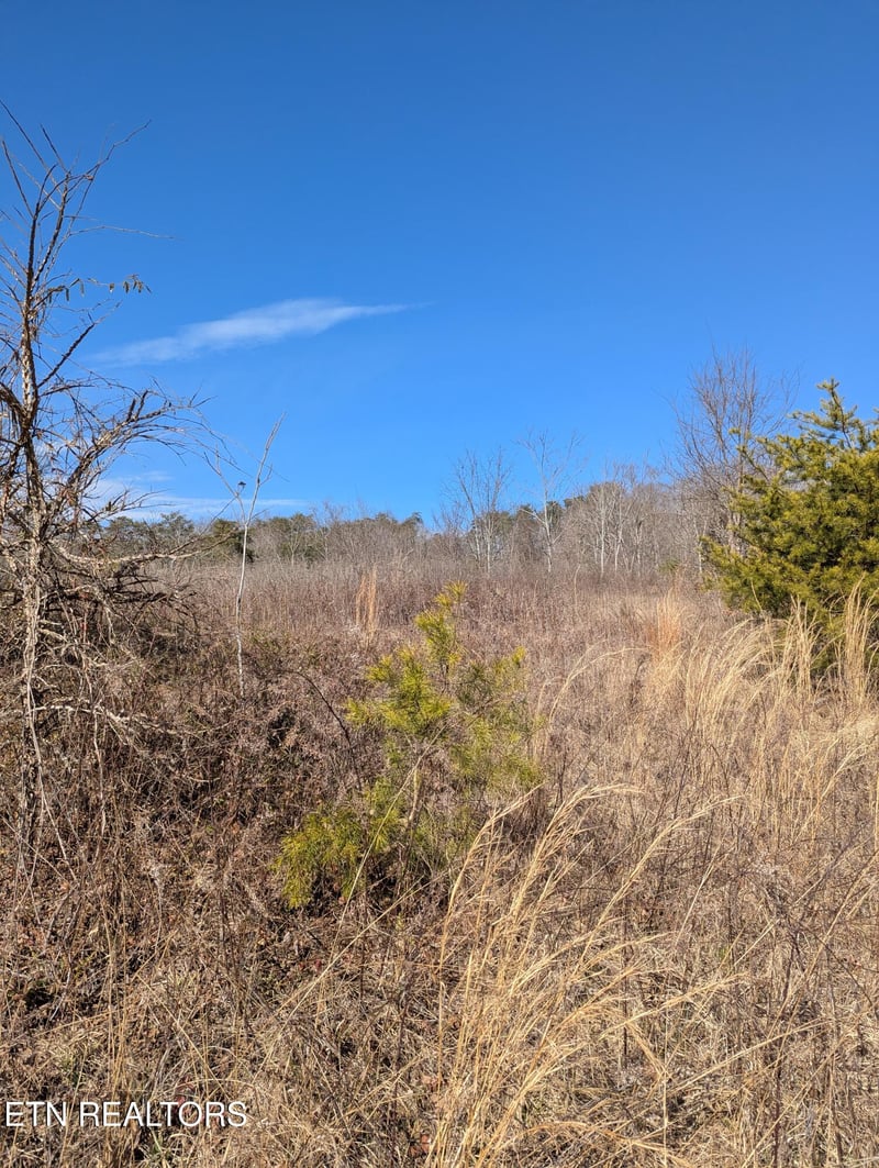0 Whispering Ct, Bean Station, TN 37708