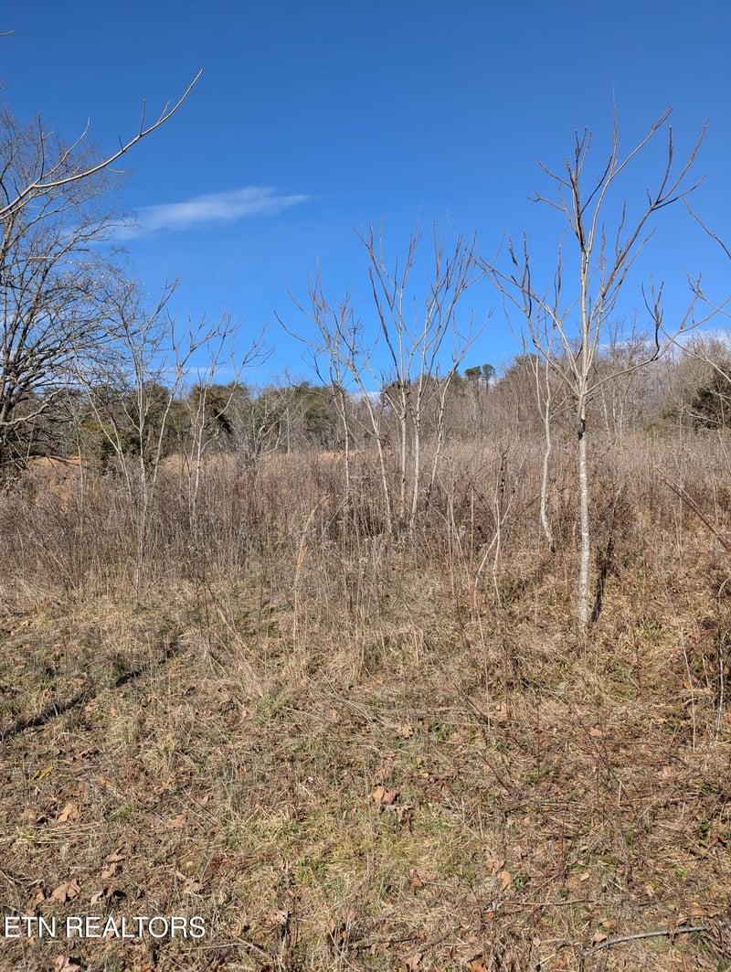 0 Whispering Ct, Bean Station, TN 37708
