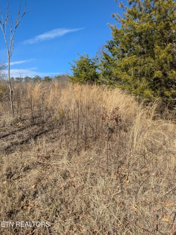 0 Whispering Ct, Bean Station, TN 37708