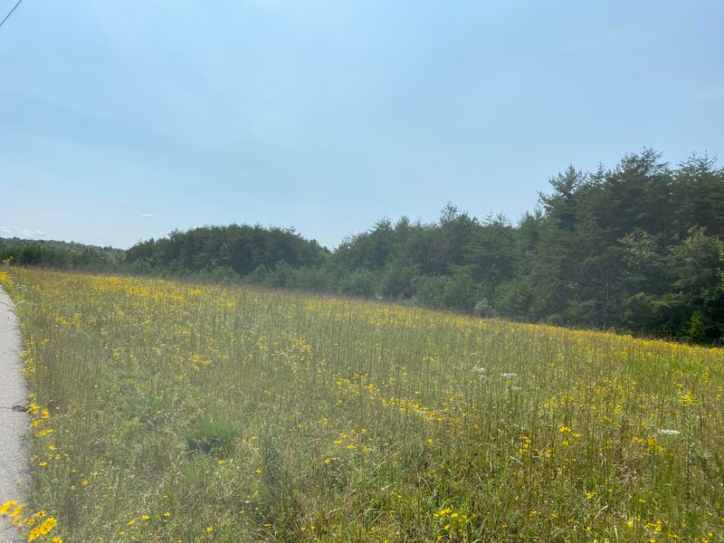 0 White Creek Acres, Deer Lodge, TN 37726