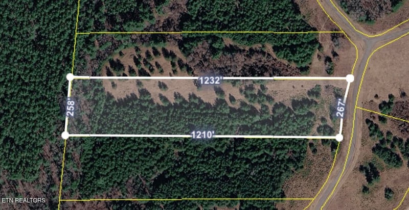 0 White Creek Dr, Deer Lodge, TN 37726