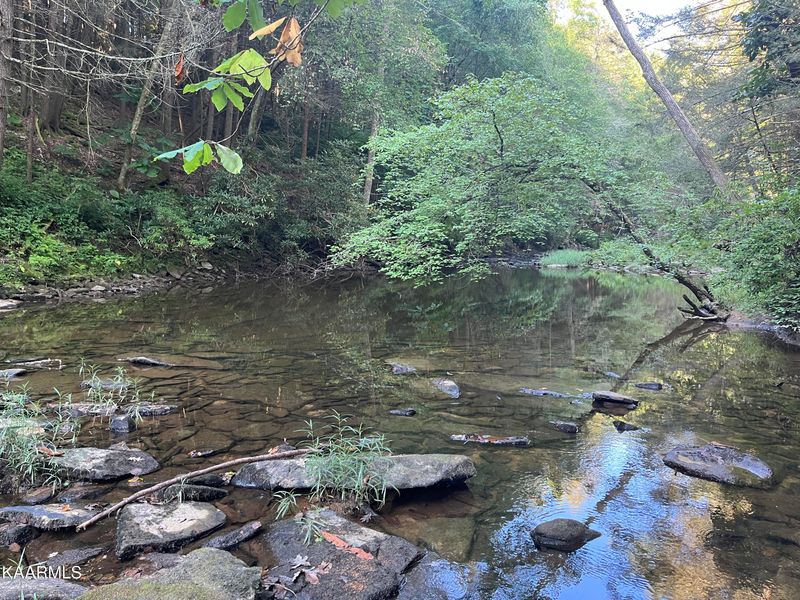 0 White Creek Loop, Deer Lodge, TN 37726