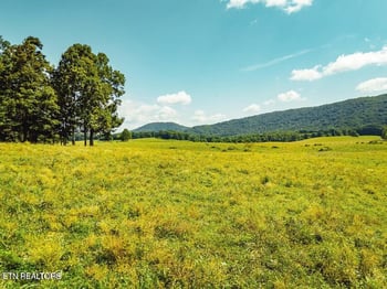 0 White Oak Cir Rd, Sunbright, TN 37872