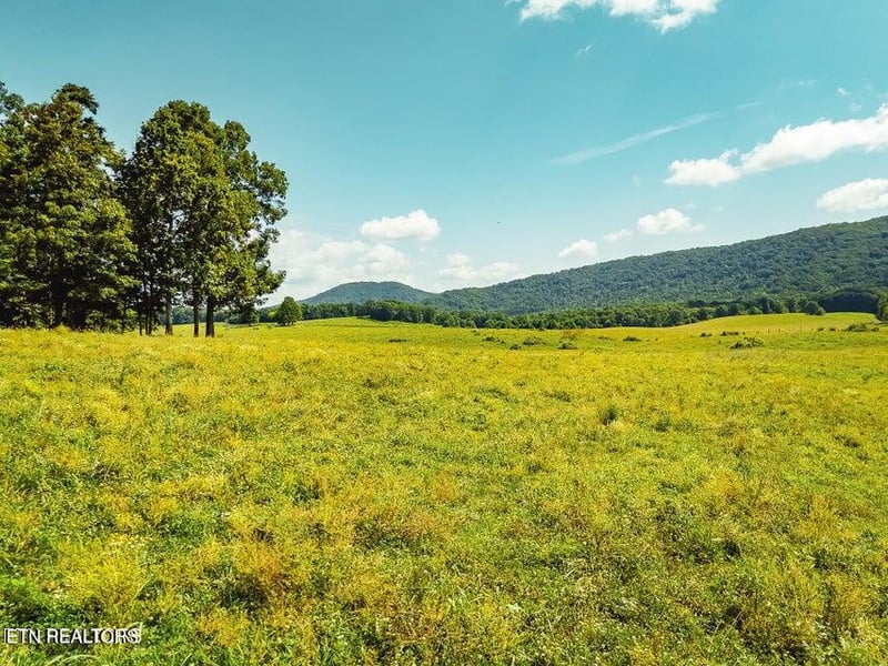 0 White Oak Cir Rd, Sunbright, TN 37872