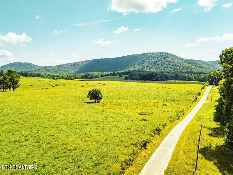 0 White Oak Cir Rd, Sunbright, TN 37872