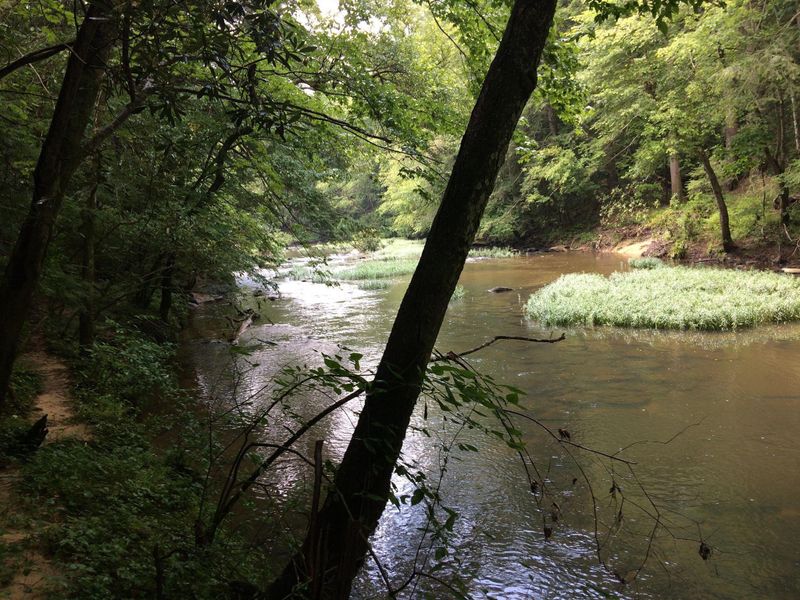 0 White Oak Creek Ln, Rugby, TN 37733