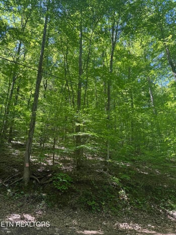 0 White Oak Ln, Caryville, TN 37714