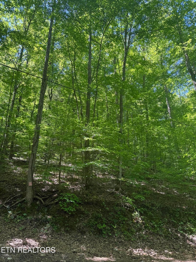 0 White Oak Ln, Caryville, TN 37714