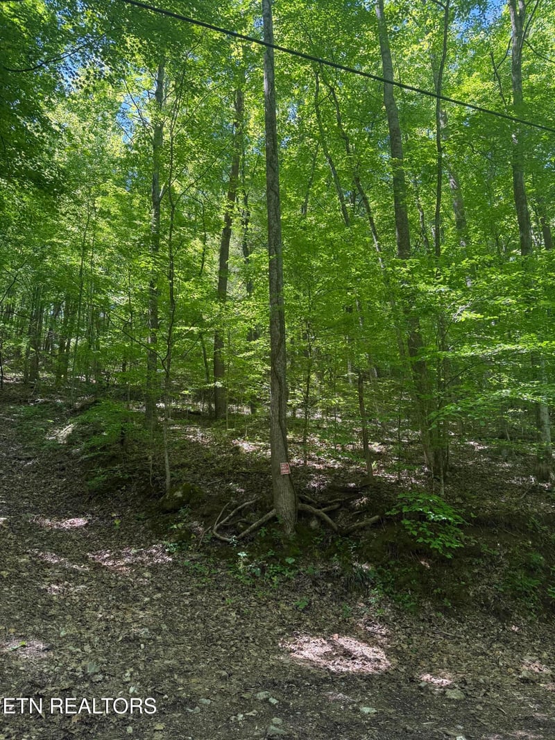 0 White Oak Ln, Caryville, TN 37714