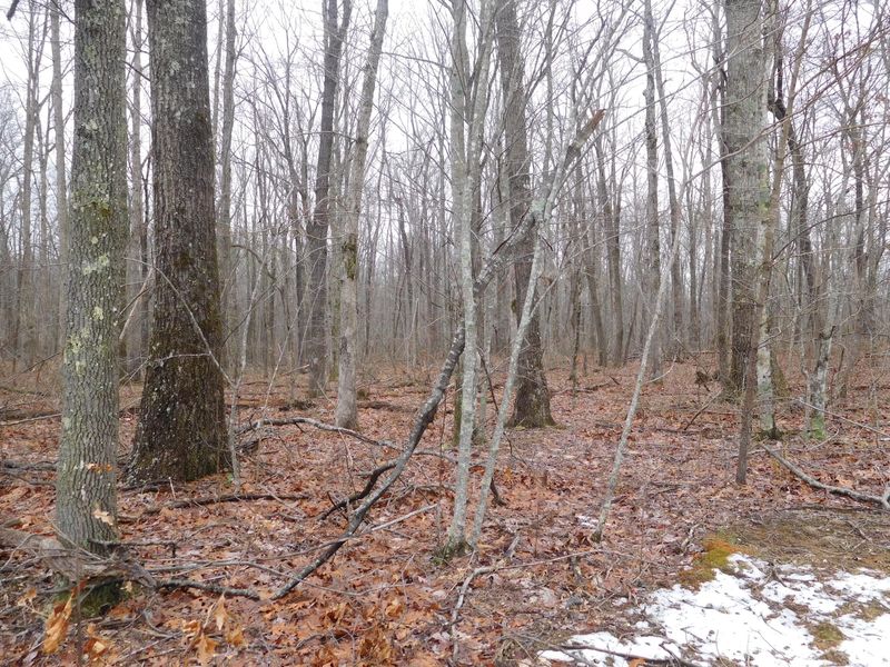 0 White Oak Rd #1, Monterey, TN 38574