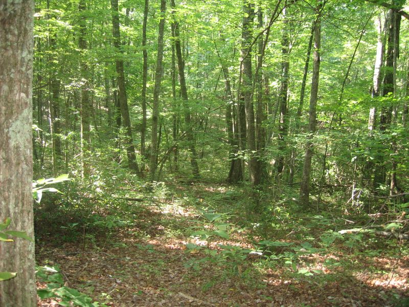 0 White Oak Rd #1, Monterey, TN 38574