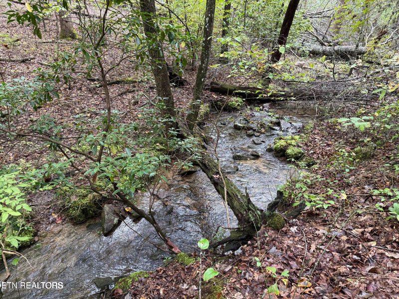 0 White Oak Rd, Monterey, TN 38574