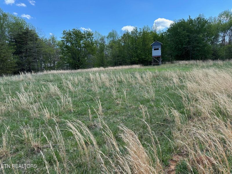 0 White Pine Rd Off Rd, Harriman, TN 37748