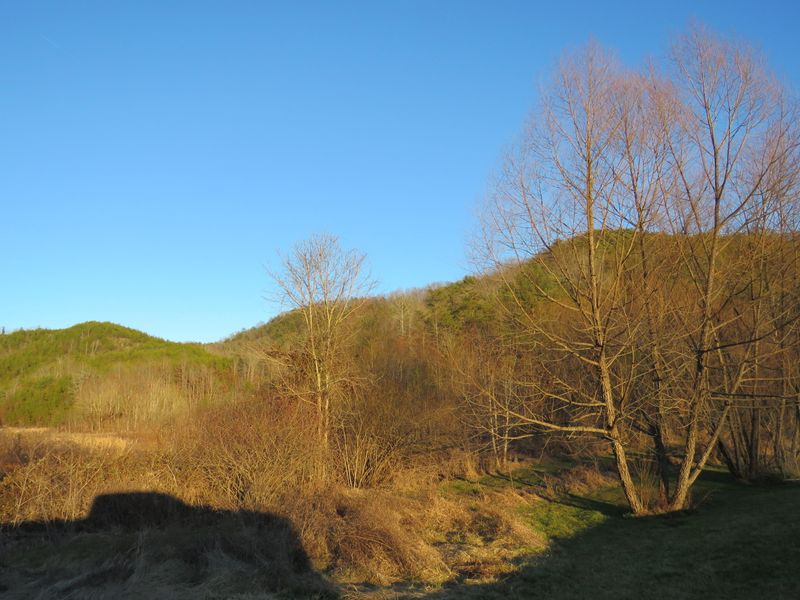 0 White Plains Rd, Vonore, TN 37885