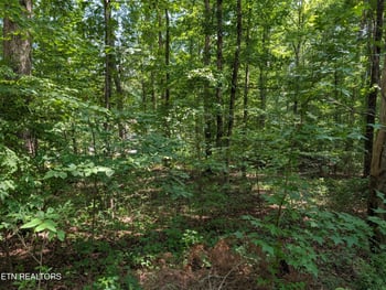 0 White St #31, Rockwood, TN 37854