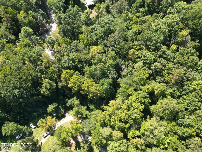 0 White St, Rockwood, TN 37854