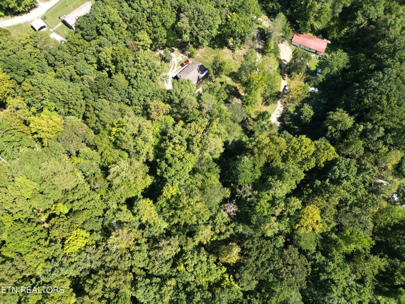 0 White St, Rockwood, TN 37854