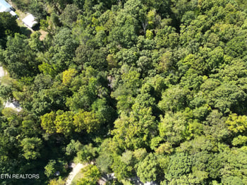 0 White St, Rockwood, TN 37854