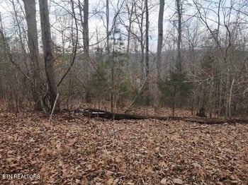 0 Whitetail Ln, Lafollette, TN 37766